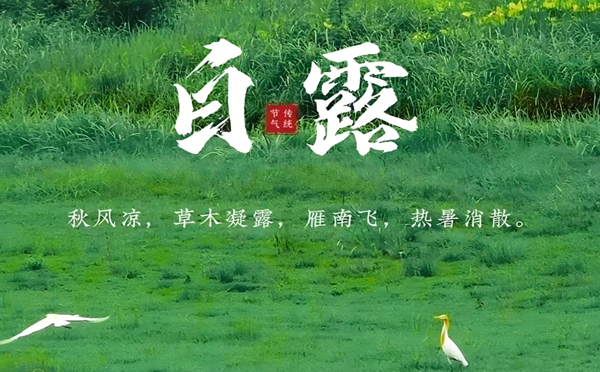 刚察白露清新，新创洁与您共享洁净之美